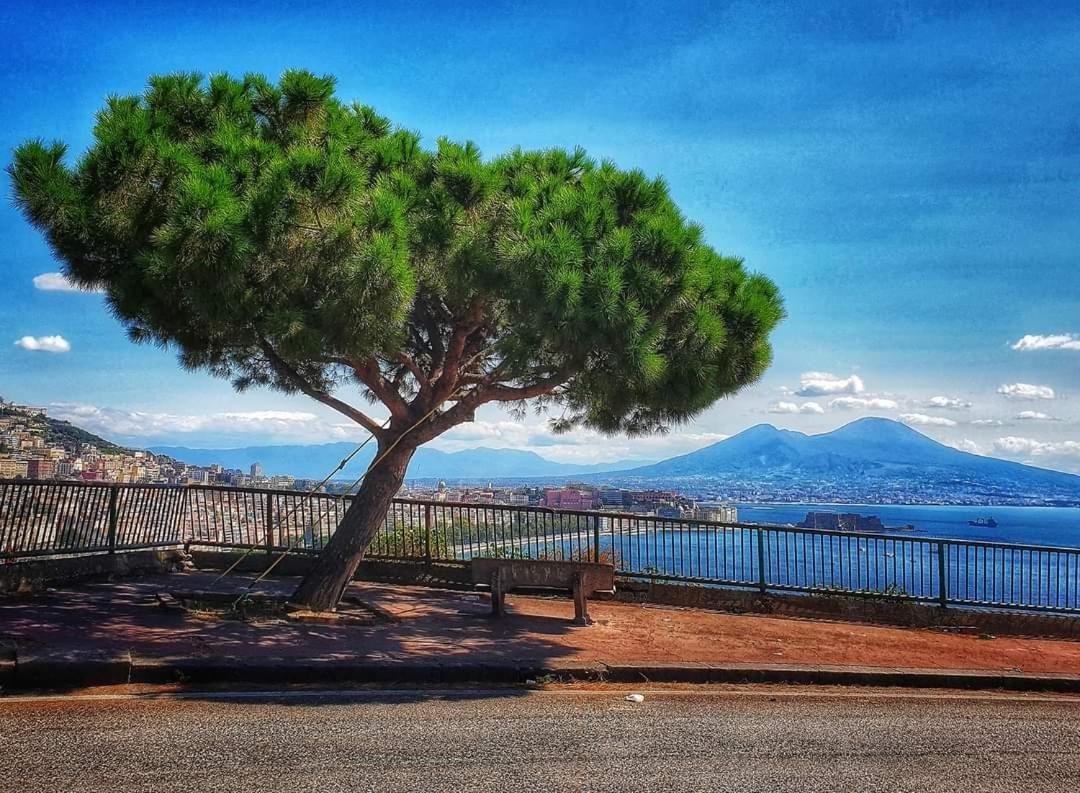 "Dint E Viche E Napule" Guest House Napoli Dış mekan fotoğraf